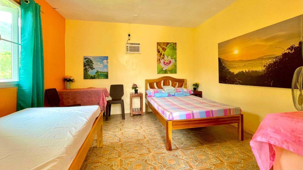 Blue Moon Guesthouse Puerto Princesa Buitenkant foto