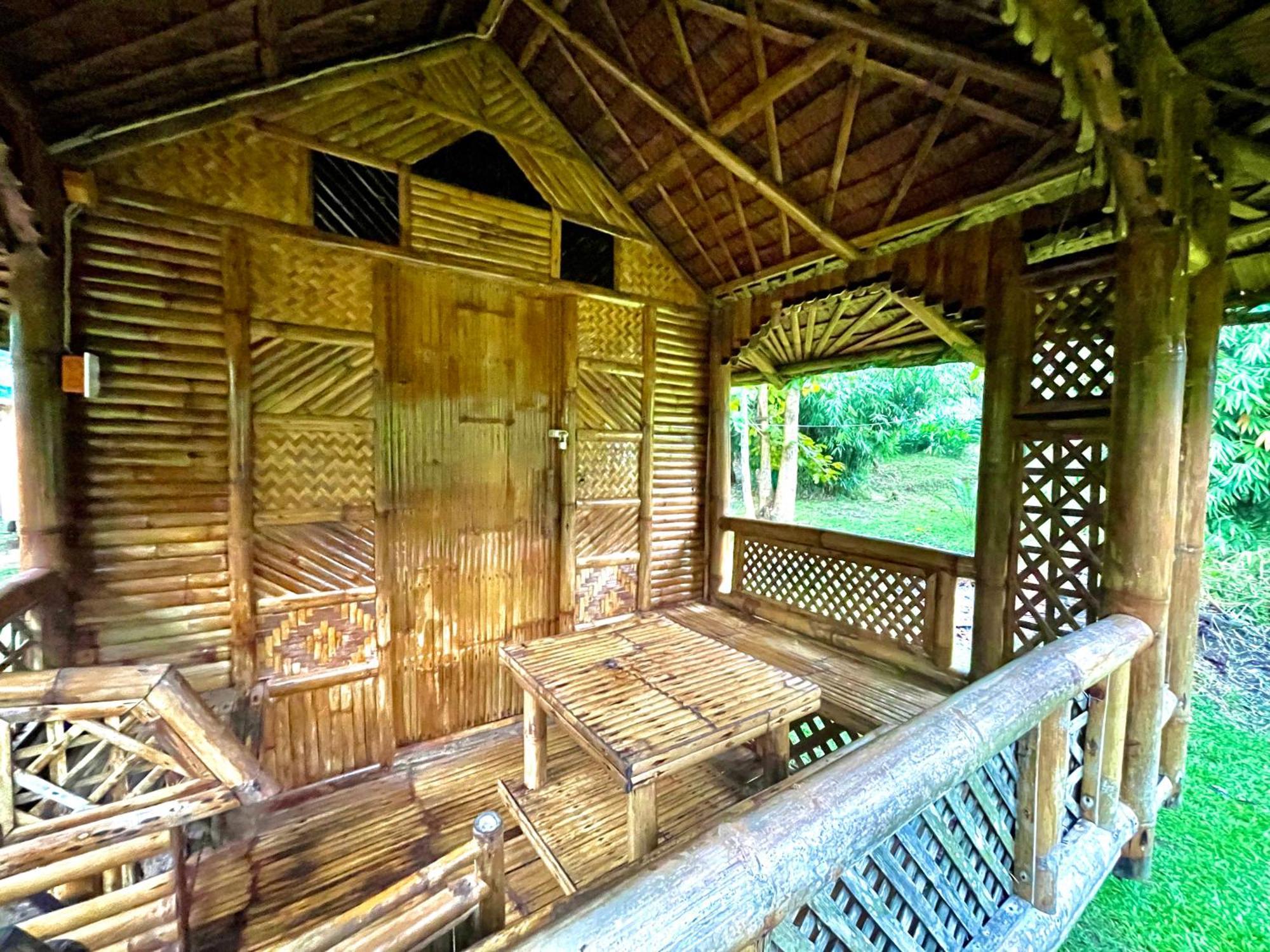 Blue Moon Guesthouse Puerto Princesa Buitenkant foto