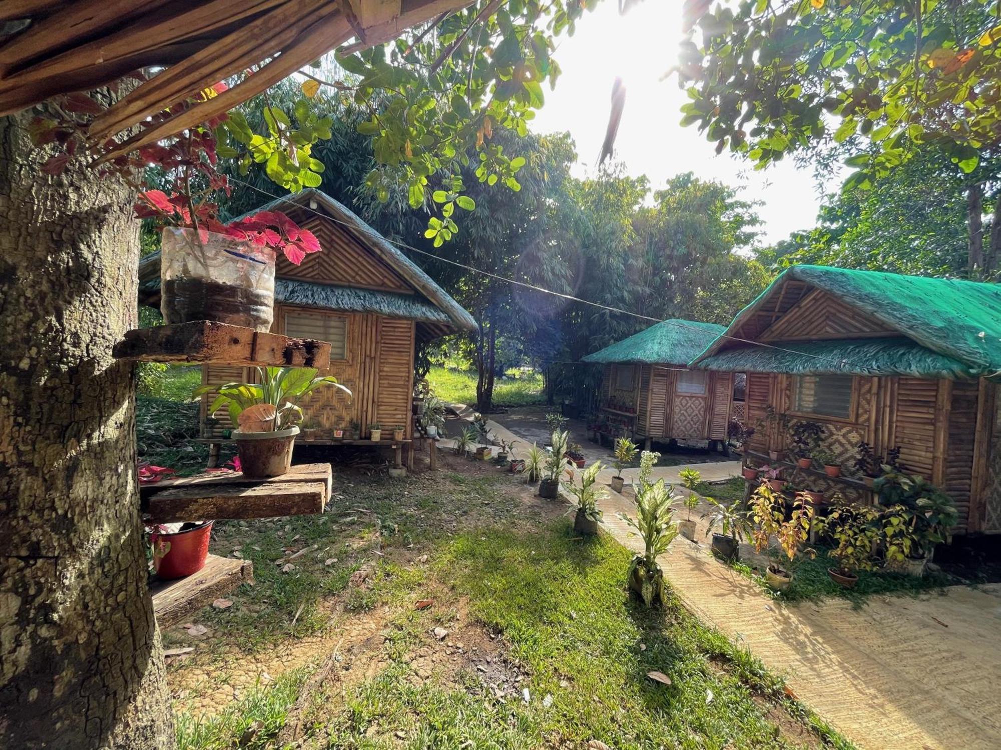 Blue Moon Guesthouse Puerto Princesa Buitenkant foto