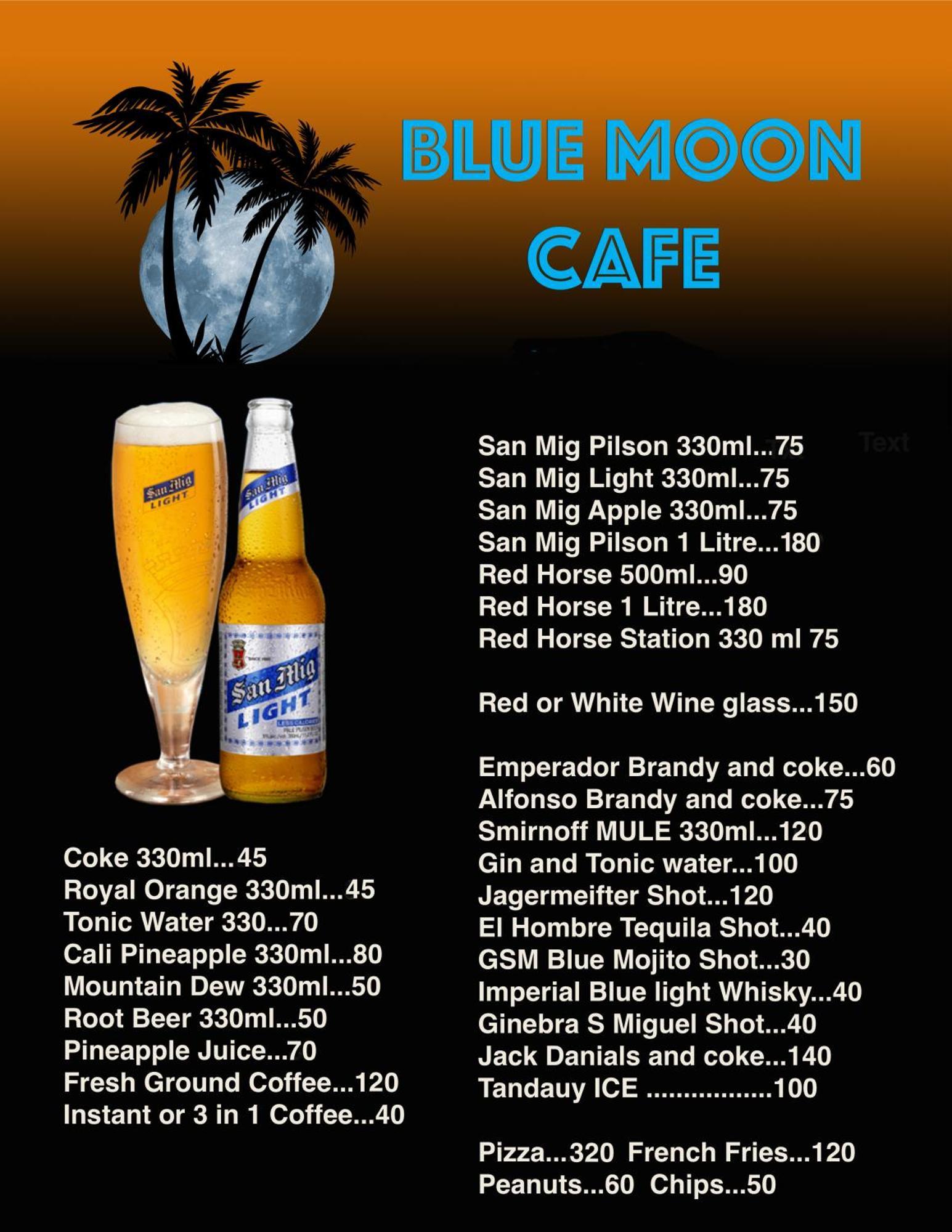 Blue Moon Guesthouse Puerto Princesa Buitenkant foto