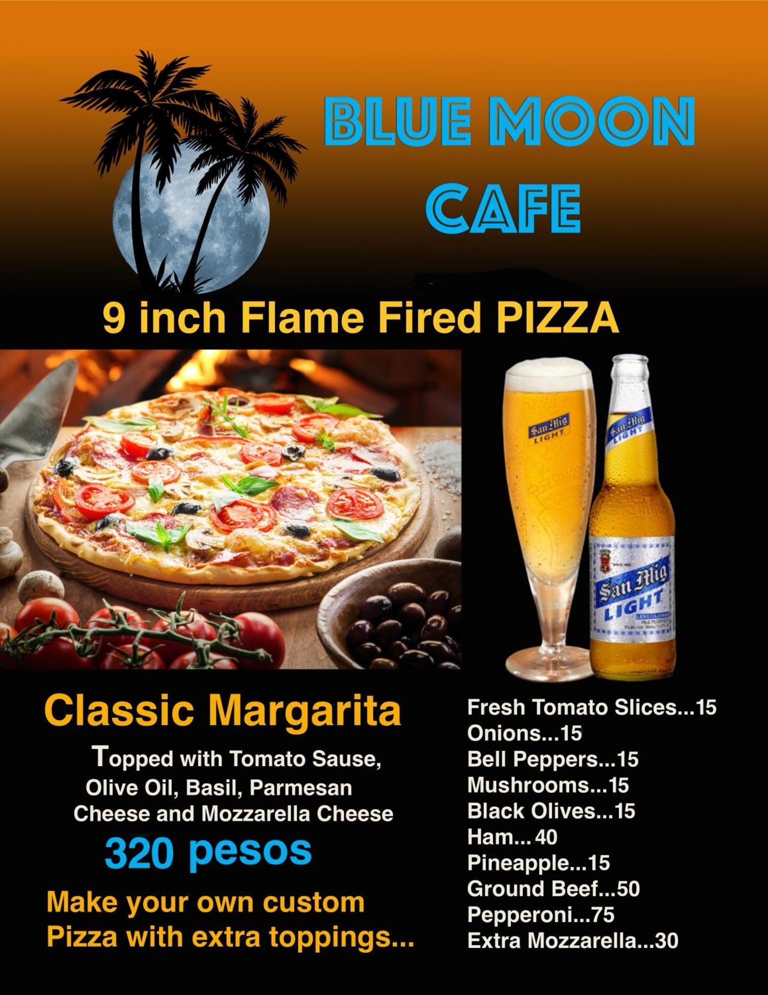 Blue Moon Guesthouse Puerto Princesa Buitenkant foto